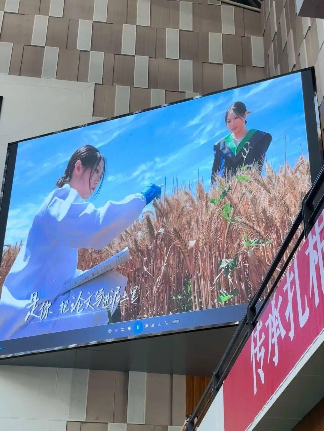 是你，把論文寫進泥土裡