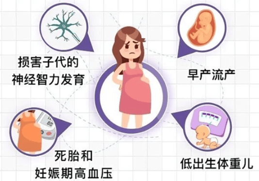 橋本會遺傳嗎？備孕 / 懷孕女性必看的 3 條真相！