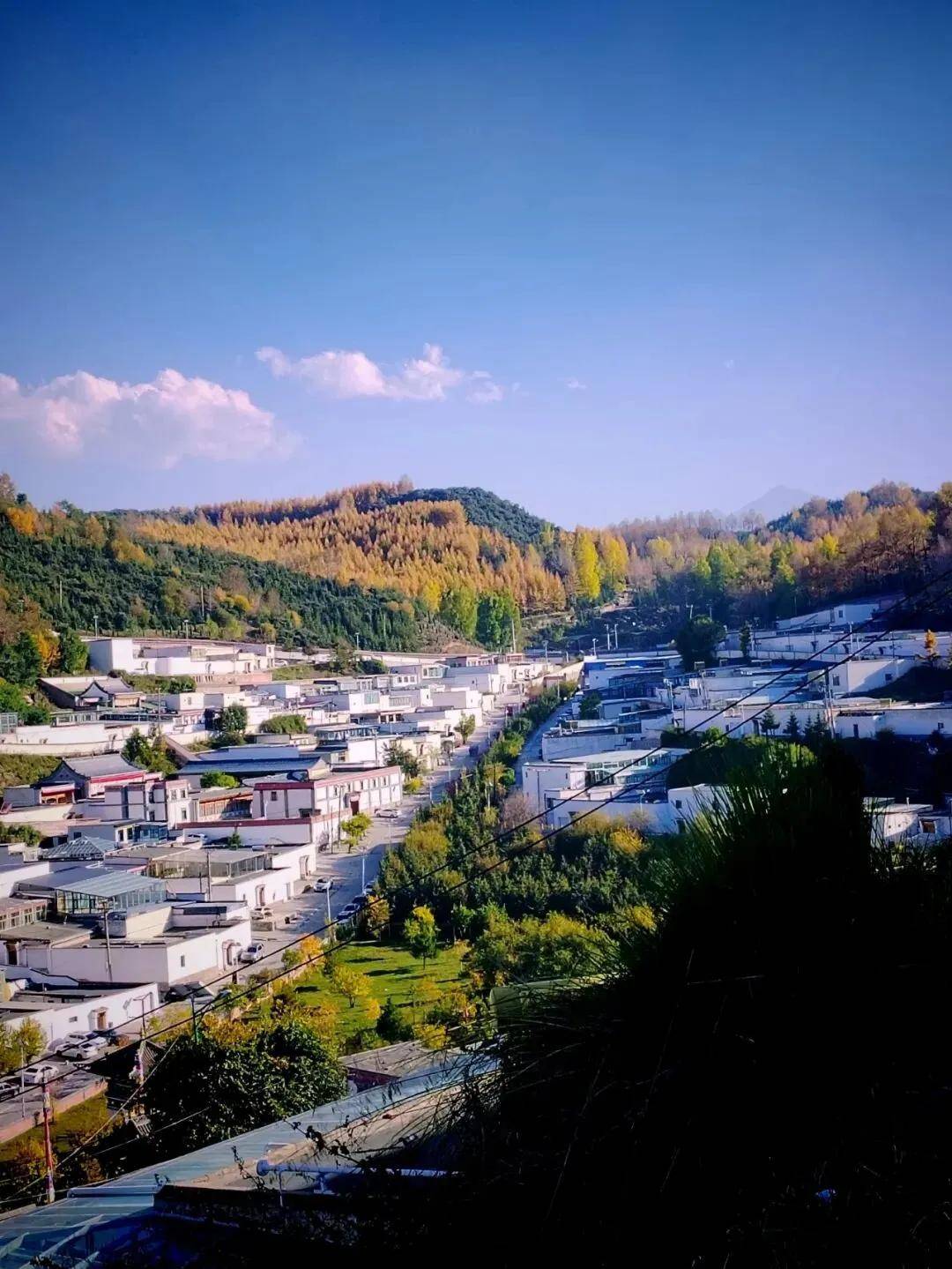 旅遊不如旅居｜這個暑假，換一種方式避暑 #旅居避暑聖地排名