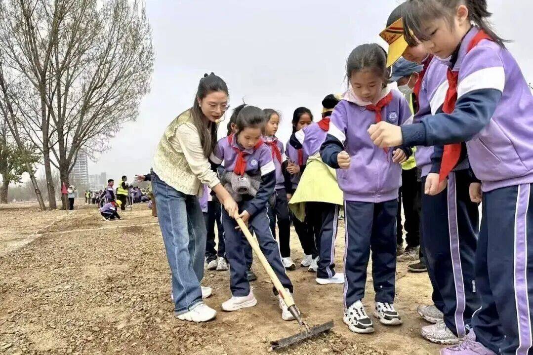 太美了！北京小學生種出浪漫花海