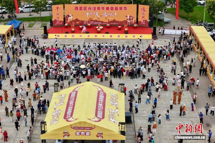寧夏興涇黃牛嘉年華上演“牛王”爭霸賽 煙火氣裡鋪就移民共富路