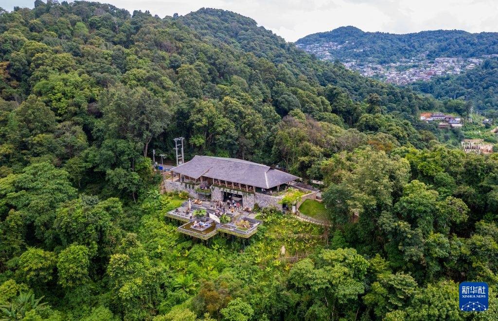 雲南西雙版納迎來暑期旅遊旺季