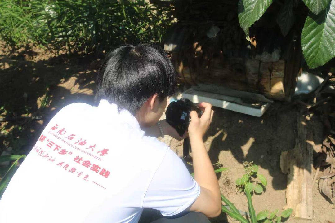 西南石油大學學子走進大涼山 鏡頭助力高山蜂蜜“出圈”