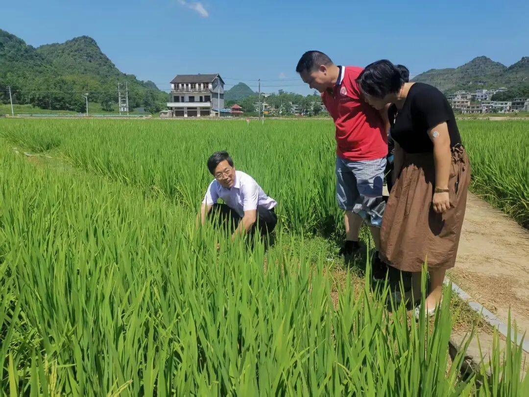 貴州何以捧回國家科技大獎