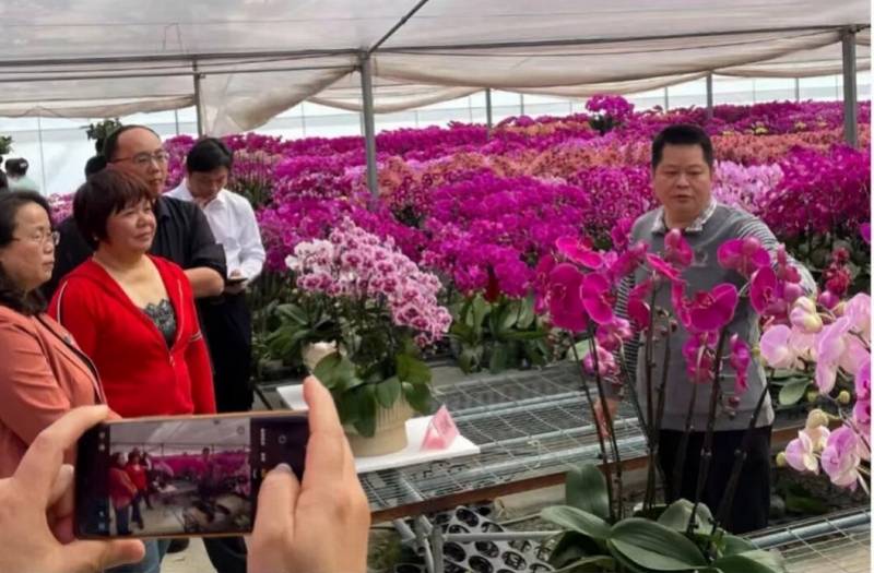 洪生標的“大地論文”：土特產變金招牌，蝴蝶蘭有“中國芯”