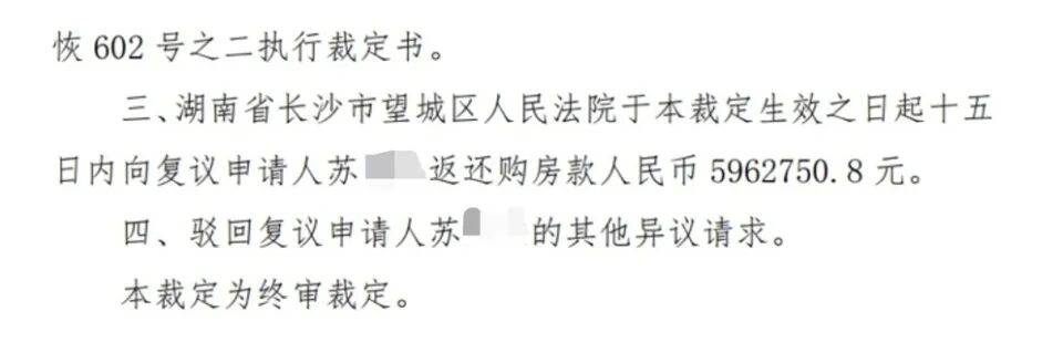 女子貸款500萬元法拍精裝別墅，收房時傻了：地板、吊頂等266處被拆毀，連馬桶都被挖走，“還貸快2年了，仍無家可歸”