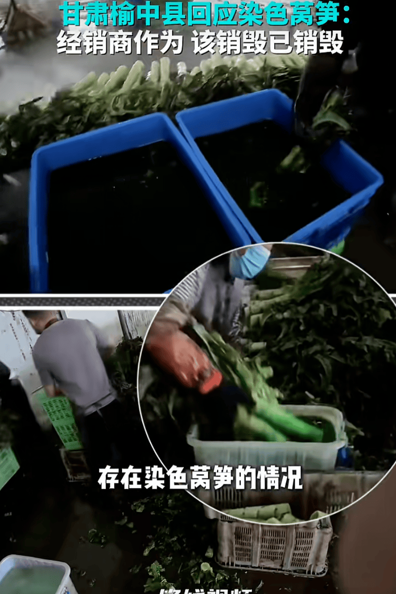 榆中對全縣53家蔬菜收購倉儲企業進行全覆蓋檢查，銷燬11.8噸“果綠” 染色萵筍
