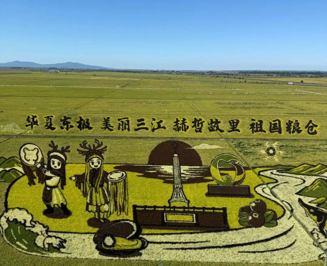 活力中國調研行｜黑土地，新農事