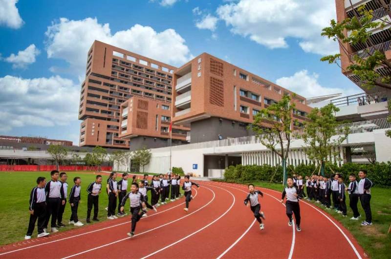 分數外的畫像，潛能教育如何重新定義“優秀”？｜順德教育①