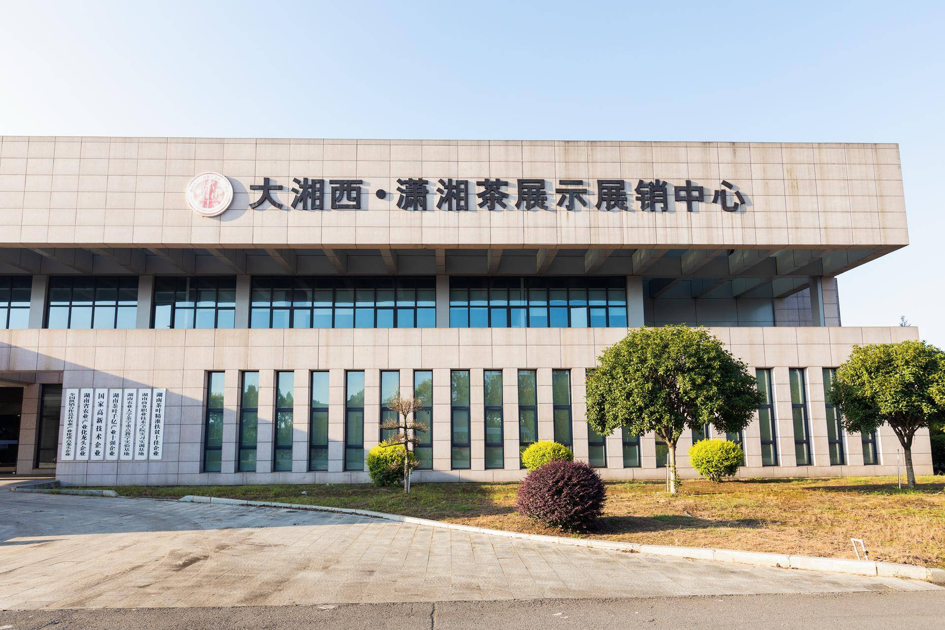向西，向海，向新：一杯湘茶從邊銷腹地走向全球貨架的產業蝶變