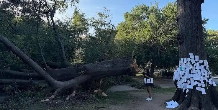原創勝選就翻臉，德國選擇黨要清空全州移民，出生在本國的都不放過