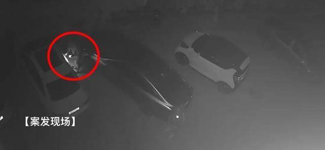 濰坊警方快速偵破電動車連環盜竊案，8輛車全部追回