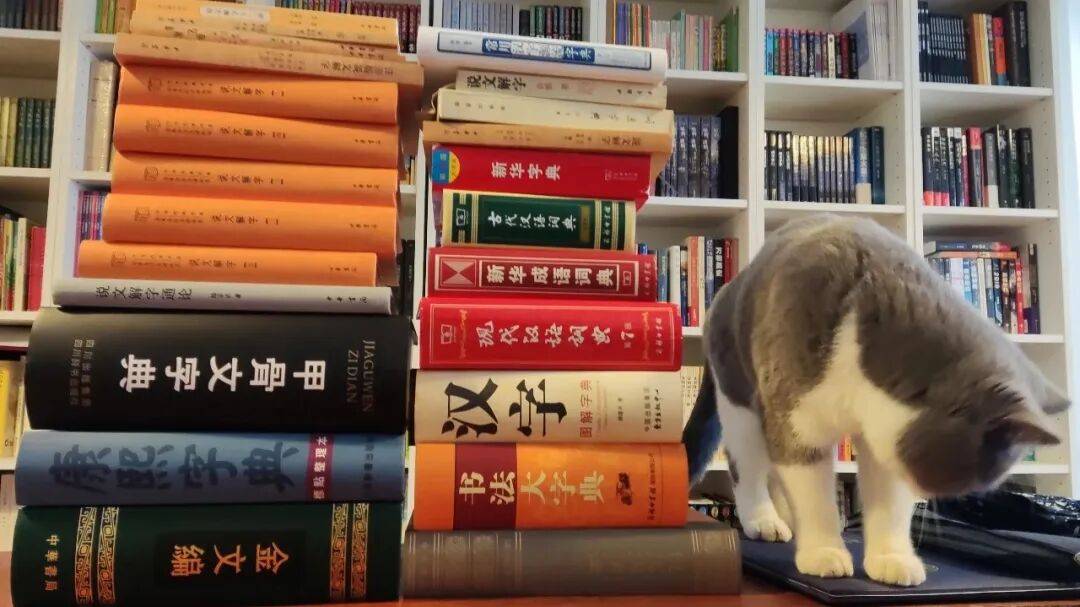 小學生必備的中英文字典詞典&地圖和地球儀 | 真心爸媽書單