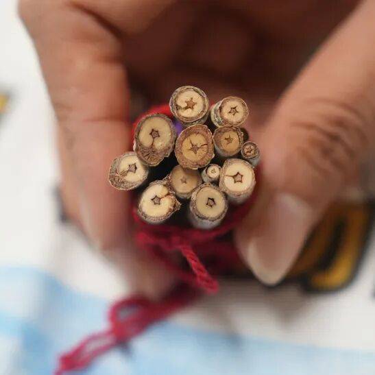 廣東小學生自制薄荷膏寄去邊疆，邊防官兵捎來了份特別的禮物→