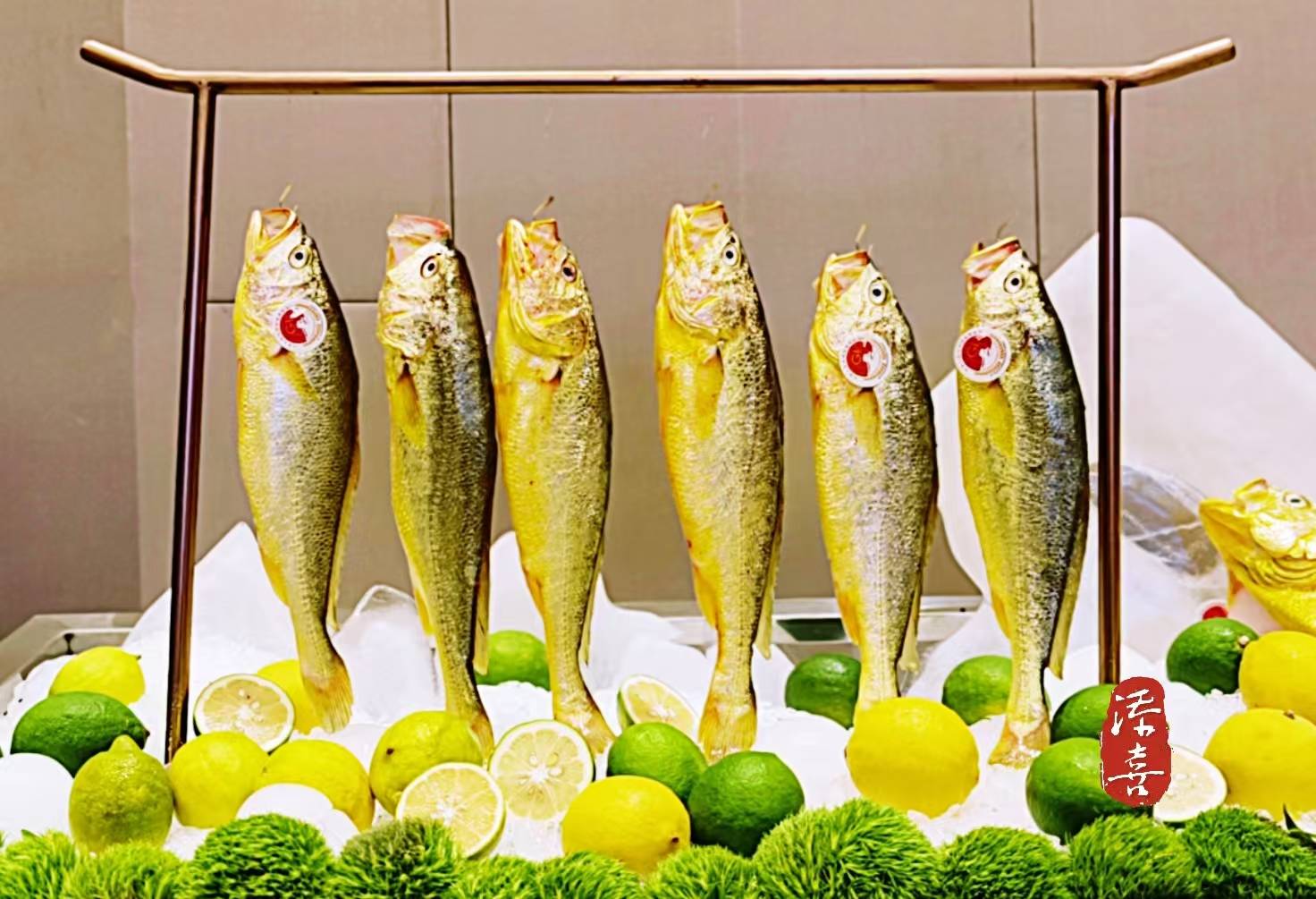 原創【杭州美食生活】金球秋序禮遇，日月軒中餐廳黃魚宴