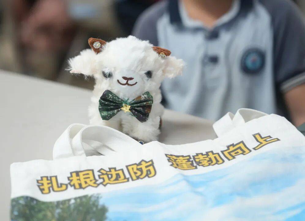 廣東小學生自制薄荷膏寄去邊疆，邊防官兵捎來了份特別的禮物→